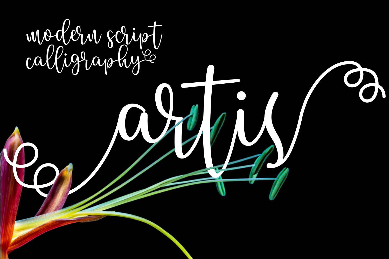 Artis: A Soft, Free-Flowing Font with Effortless Swashes