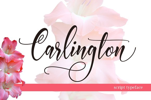 Carlington Script: A Modern Font with 340+ Glyphs
