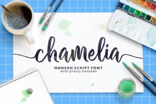 Chamelia Handwritten Font: A Practical Guide