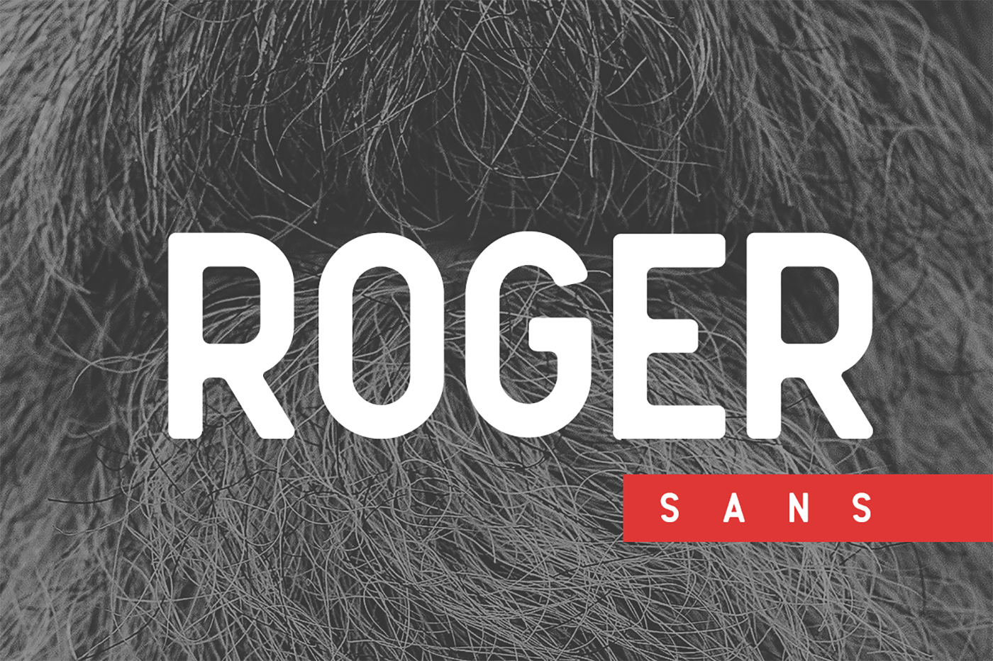 Roger Sans: Clean Vintage Sans Serif Font