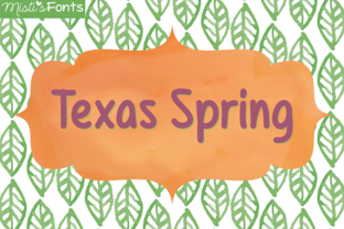 Texas Spring: A Clean and Simple Font for Real Projects