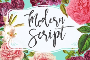 The Quiet Power of Modern Script: Why This Typeface Resonates Across Creative and Professional Spaces